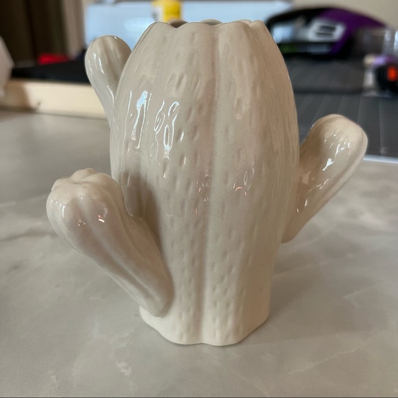 Other - Cactus vase